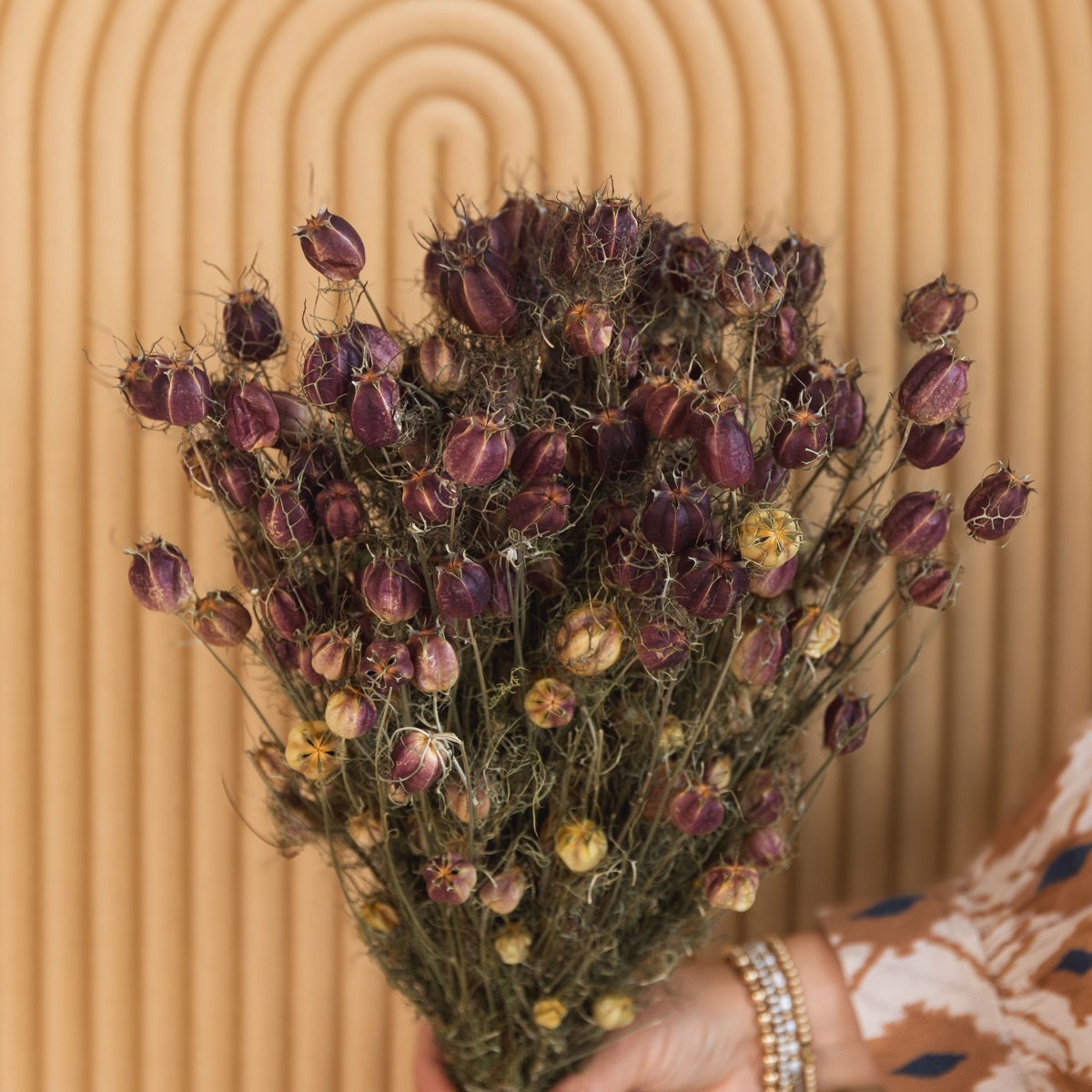 Natural green dried nigella pods on 50 cm stems, tied in a bunch