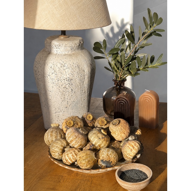 Extra extra large dried poppy heads (Papaver somniferum) from the 2026 harvest, sold by the 4.2 kg box