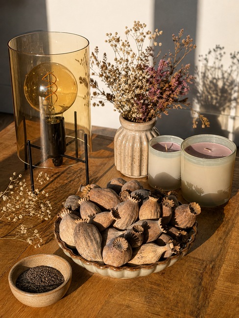 Large dried poppy pods (Papaver somniferum), hand-graded and sold by the kilo