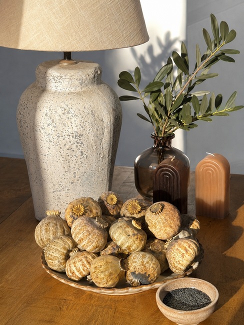 XXL dried poppy pods (Papaver somniferum), our largest grade, sold by the kilo