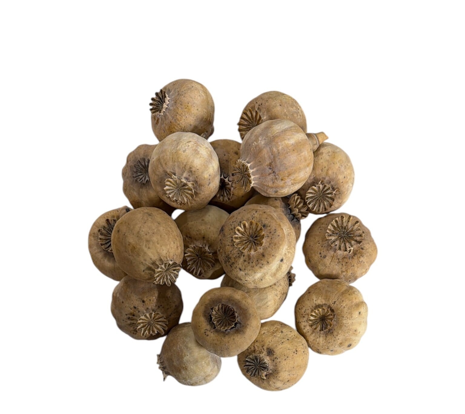 Punjabi dried poppy pods (Papaver somniferum), hand-sorted and sold by the kilo